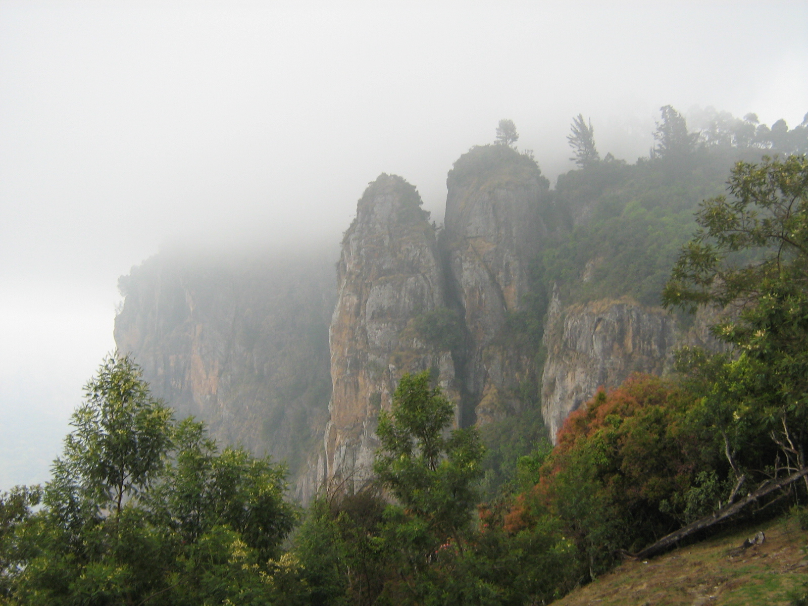 Ooty Lake view in Tamil Nadu