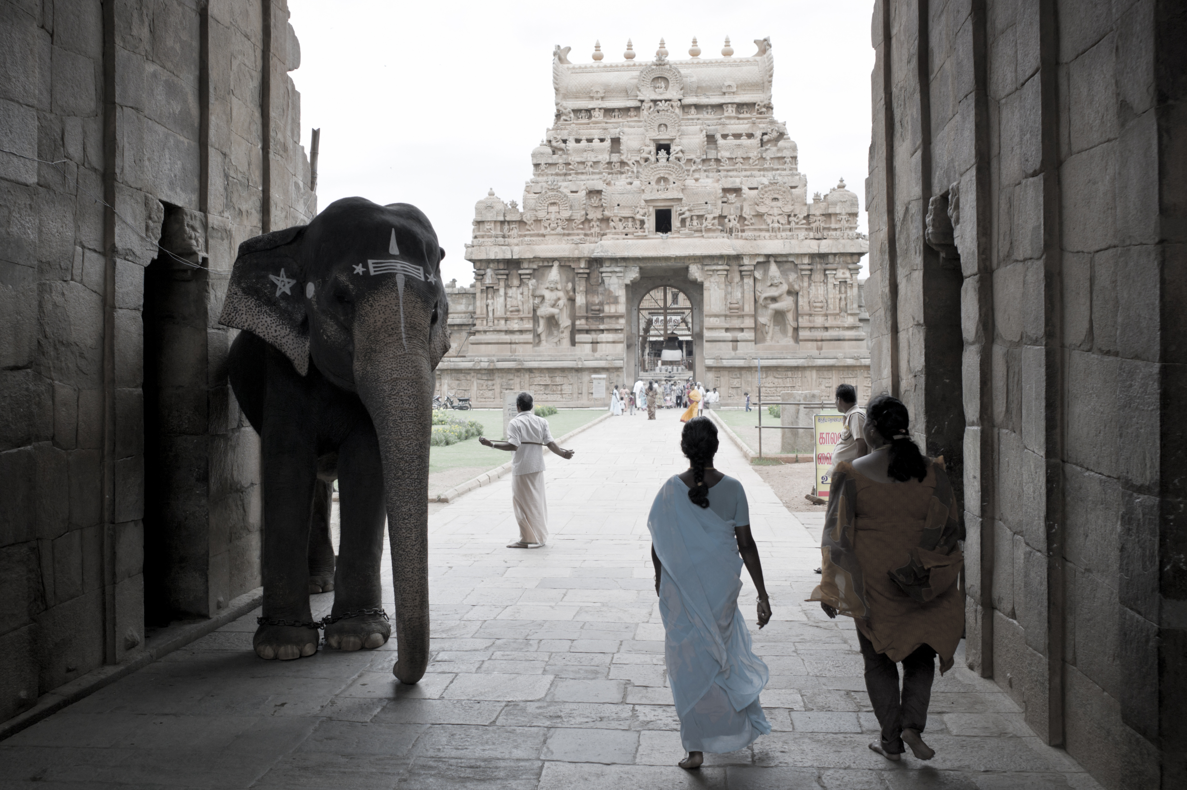 Ancient temple in Tamil Nadu with intricate carvings and spiritual ambiance
