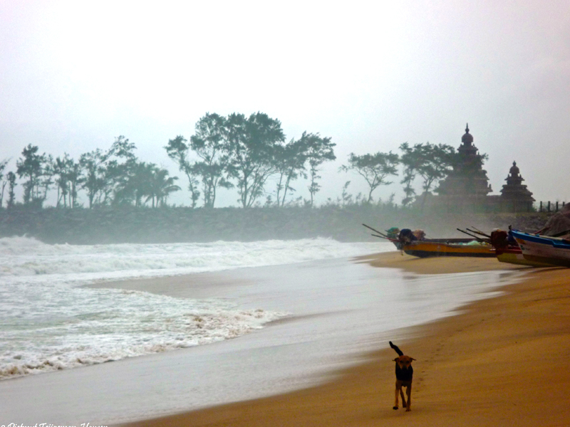 Relaxing beach in Tamil Nadu