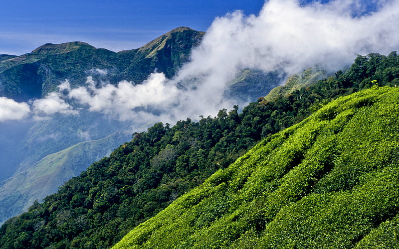 Hill station retreat in Tamil Nadu
